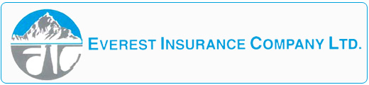Everest Insurance Company